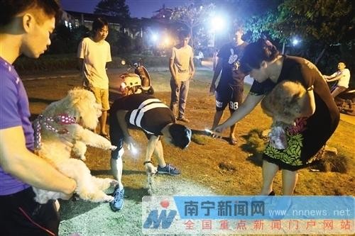 多只宠物狗在南宁两天内离奇死亡 怀疑有人泄愤投毒