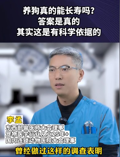 养狗好还是不好研究证明告诉你看完你还养吗